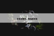 卡车流哪吒，哪吒的卡车