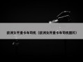 欧洲女开重卡车司机（欧洲女开重卡车司机图片）