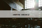 小帅开卡车（卡车小伙儿）