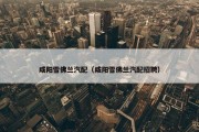 咸阳雪佛兰汽配（咸阳雪佛兰汽配招聘）