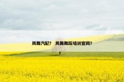 凤舞汽配？ 凤舞舞蹈培训官网？