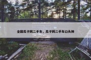 全国瓜子网二手车，瓜子网二手车口头禅