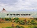 龙川二手车交易市场（龙川旧货市场）