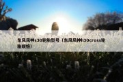 东风风神s30轮胎型号（东风风神h30cross轮胎规格）