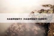 大众途昂轮胎尺寸（大众途昂轮胎尺寸品牌型号）