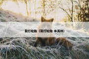 裂行轮胎（裂行轮胎 米其林）
