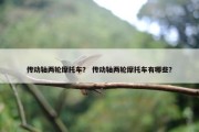 传动轴两轮摩托车？ 传动轴两轮摩托车有哪些？