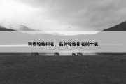 韩泰轮胎排名，品牌轮胎排名前十名