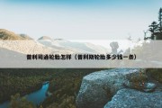 普利司通轮胎怎样（普利斯轮胎多少钱一条）