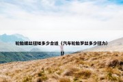 轮胎螺丝扭矩多少合适（汽车轮胎罗丝多少扭力）