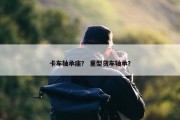 卡车轴承座？ 重型货车轴承？