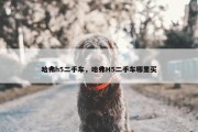 哈弗h5二手车，哈弗H5二手车哪里买