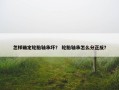 怎样确定轮胎轴承坏？ 轮胎轴承怎么分正反？