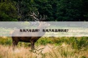 东风汽车品牌？ 东风汽车品牌历史？