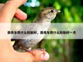 商务车用什么轮胎好，商务车用什么轮胎好一点