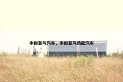 丰田氢气汽车，丰田氢气动能汽车
