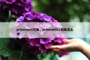 prlmewell轮胎，prlmeWELL轮胎怎么样