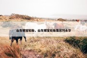山东银宝轮胎，山东银宝轮胎集团刘永华