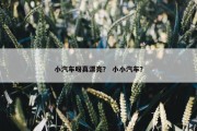 小汽车呀真漂亮？ 小小汽车？