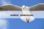 悍马摩托车？ 悍马摩托车怎么样？