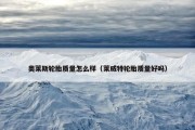 奥莱斯轮胎质量怎么样（莱威特轮胎质量好吗）