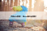 汽车eco意思？ 车eco是什么意思？