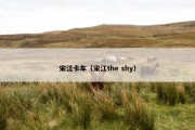 宋江卡车（宋江the shy）