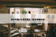 轻卡车厢什么意思图片（轻卡车厢长度）