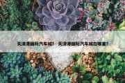 天津港国际汽车城？ 天津港国际汽车城在哪里？