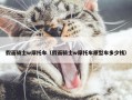 假面骑士w摩托车（假面骑士w摩托车原型车多少钱）