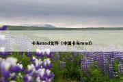 卡车mod文件（中国卡车mod）