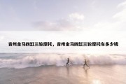 青州金马四缸三轮摩托，青州金马四缸三轮摩托车多少钱