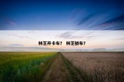 林芝开卡车？ 林芝轿车？
