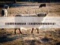 三轮摩托车绕桩秘诀（三轮摩托车绕桩秘诀大全）