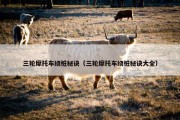 三轮摩托车绕桩秘诀（三轮摩托车绕桩秘诀大全）