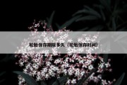 轮胎保存期限多久（轮胎保存时间）