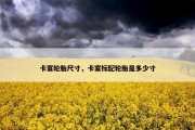 卡宴轮胎尺寸，卡宴标配轮胎是多少寸