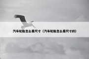 汽车轮胎怎么看尺寸（汽车轮胎怎么看尺寸的）