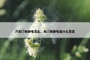 汽车门有静电怎么，车门有静电是什么意思
