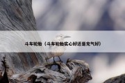 斗车轮胎（斗车轮胎实心好还是充气好）