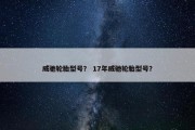 威驰轮胎型号？ 17年威驰轮胎型号？