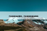 汽车臭氧有必要吗，汽车臭氧除臭有用吗