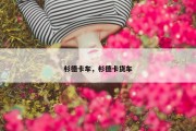 杉德卡车，杉德卡货车