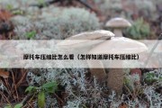 摩托车压缩比怎么看（怎样知道摩托车压缩比）