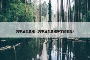 汽车油泵总成（汽车油泵总成坏了的表现）