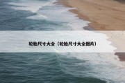 轮胎尺寸大全（轮胎尺寸大全图片）