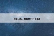 轮胎110y，轮胎110y什么意思
