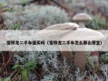 雪铁龙二手车值买吗（雪铁龙二手车怎么那么便宜）