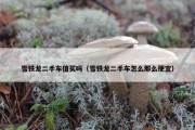 雪铁龙二手车值买吗（雪铁龙二手车怎么那么便宜）