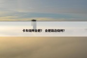 卡车烧烤合肥？ 合肥路边烧烤？
